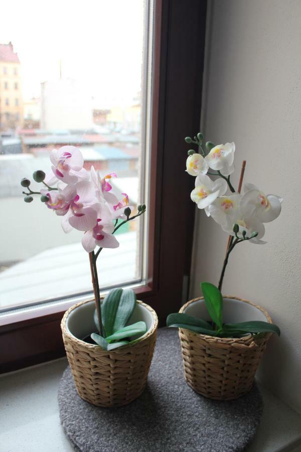 Kavi #2 Appartement *